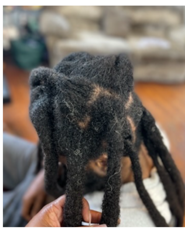 LocQueen's Wicks Master Course