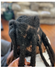 LocQueen's Wicks Master Course